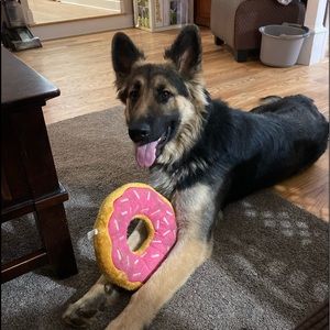 Meet your Posher, Dena